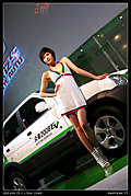 2009湖南车展最美丽车模