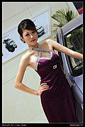 2009湖南车展最美丽车模