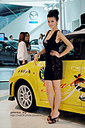 2009湖南车展最美丽车模