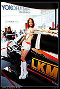 2009上海国际车展美丽车模系列