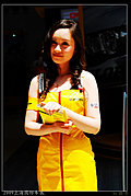 2009上海国际车展美丽车模系列