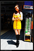 2009上海国际车展美丽车模系列