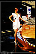 2009上海国际车展美丽车模系列