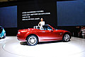 Auto Shanghai 2009 -车模全身