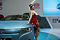 Auto Shanghai 2009 -车模全身