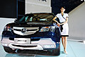 Auto Shanghai 2009 -车模全身