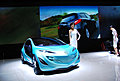Auto Shanghai 2009 -车模全身