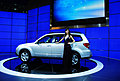 Auto Shanghai 2009 -车模全身