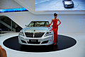 Auto Shanghai 2009 -车模全身
