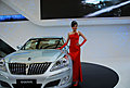 Auto Shanghai 2009 -车模全身