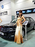 天津2009年汽车交易博览会车模