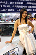 天津2009年汽车交易博览会车模