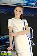 靓丽车模