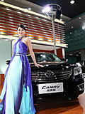 车模与车——2009第六届广州汽车嘉年华