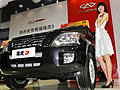 车模与车——2009第六届广州汽车嘉年华
