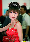 美女车模