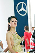 美女车模