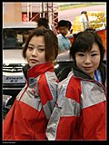 靓丽车模