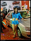 靓丽车模