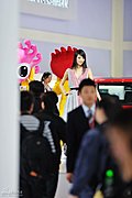 靓丽车模