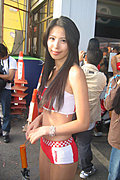 性感佳丽