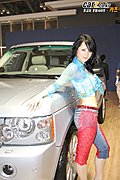靓丽车模