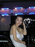 靓丽车模
