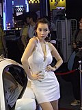 靓丽车模
