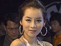 靓丽车模