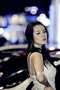 靓丽车模