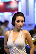 靓丽车模
