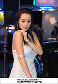 靓丽车模