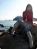 靓丽车模