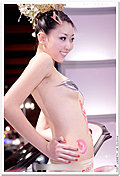 人体彩绘车模