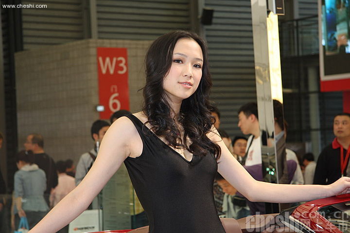 阿斯顿马丁车模