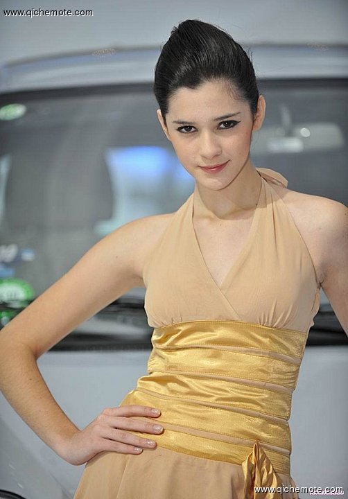 2009广州车展冷面车模全集
