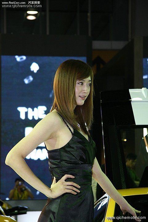 2009广州车展之美女模特