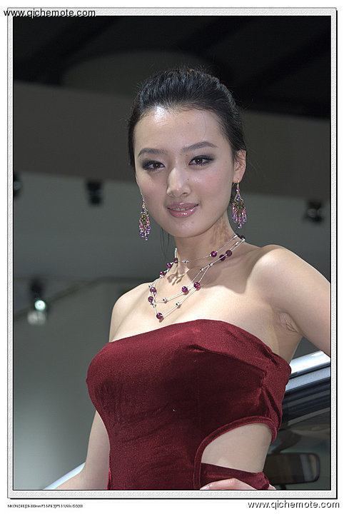 09广州车展车模