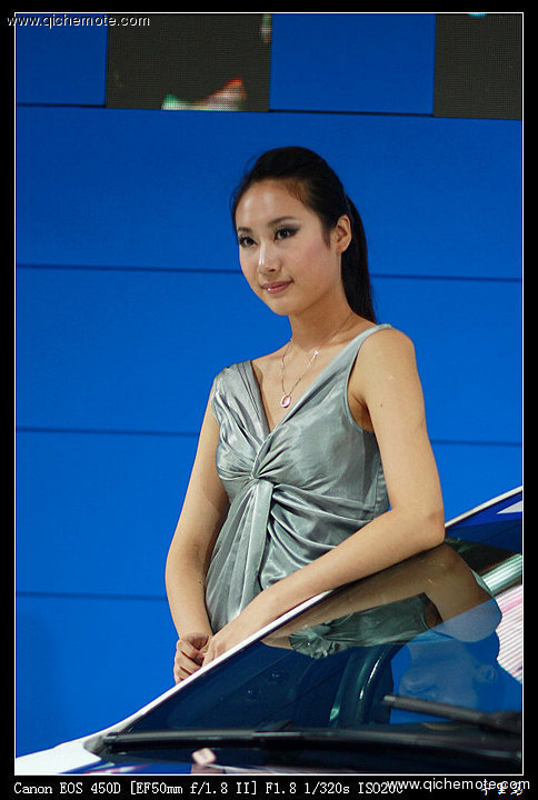 2009南京国际汽车展览会