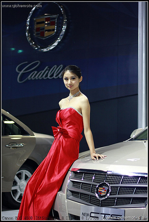 2009南京国际汽车展览会