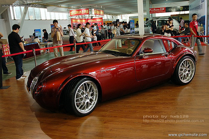 2009湖南车展最美丽车模