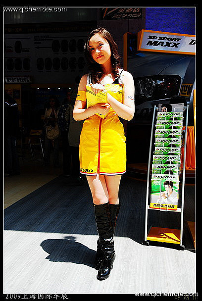 2009上海国际车展美丽车模系列