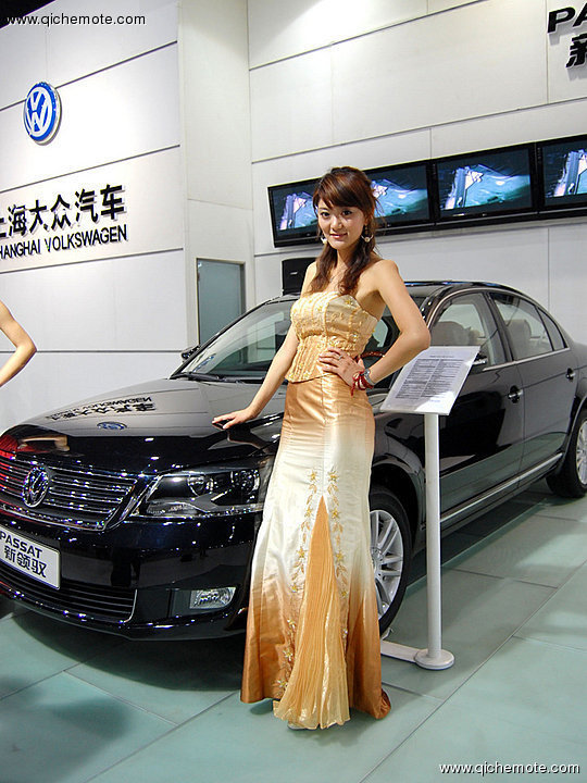 天津2009年汽车交易博览会车模