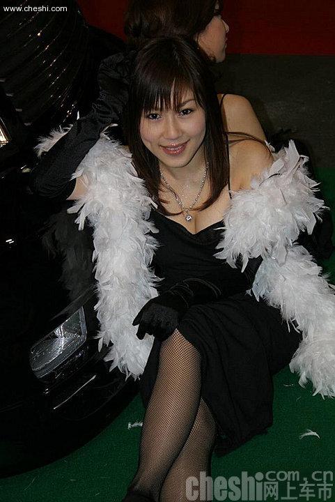 车模