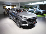 长安 欧尚 X5 300 T 银色