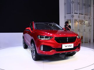 WEY W02