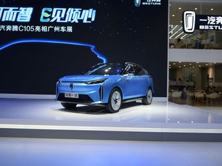 奔腾C105