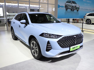 魏牌 摩卡 DHT PHEV 蓝色 低配
