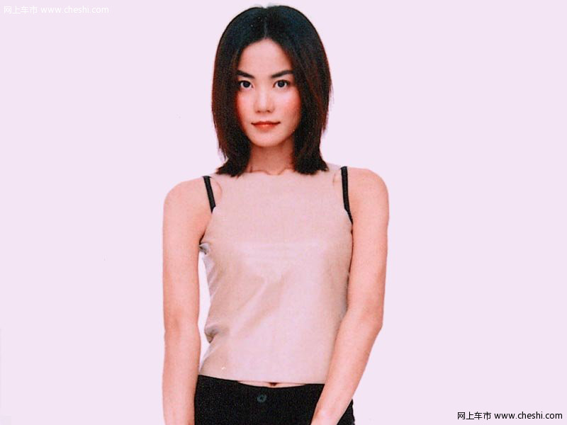 王菲与车