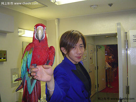东风日产 轩逸 2009款 文章配图